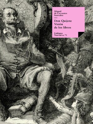 cover image of Don Quijote. Visión de los libros